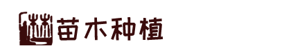 澳門葡京國際